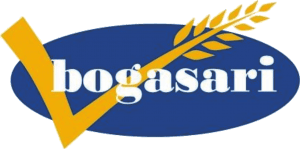 logo_bs
